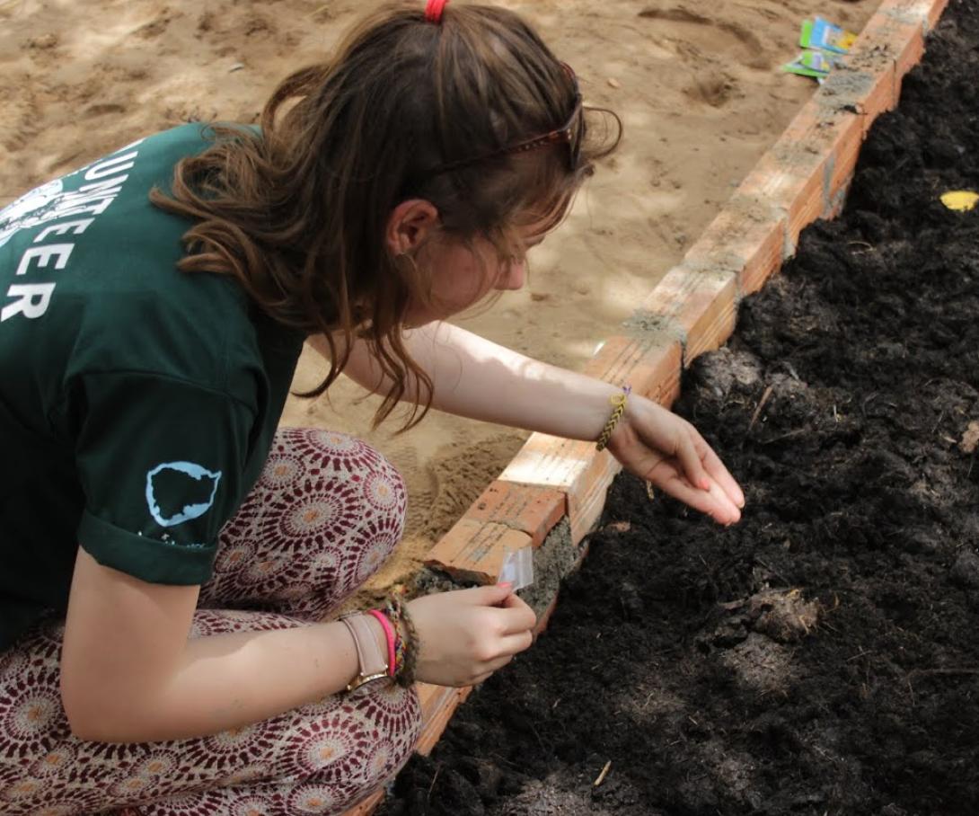 A Girl Guide on an organised volunteer programme in Cambodia helps with planting at a school. An Anglia Girl Guide plants seeds at a school during her group volunteer trip to Cambodia.